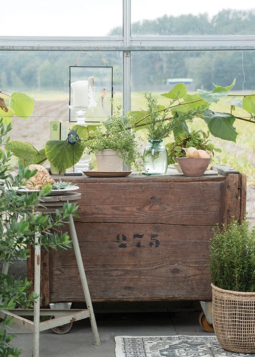 Herbs & Vegetables