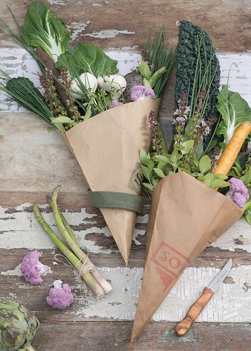Herbs & Vegetables