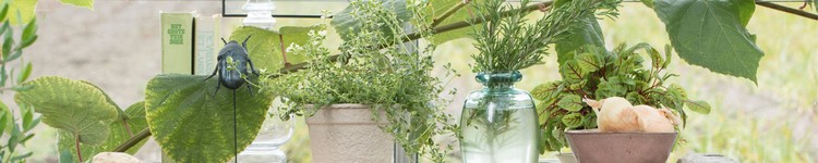 Herbs & Vegetables
