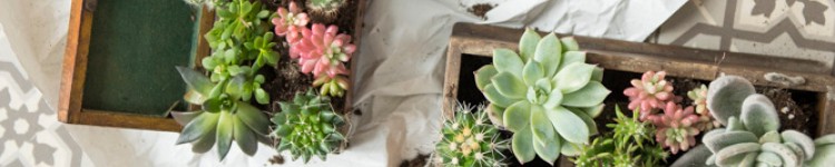 Botanical living